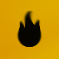 Бестселлеры