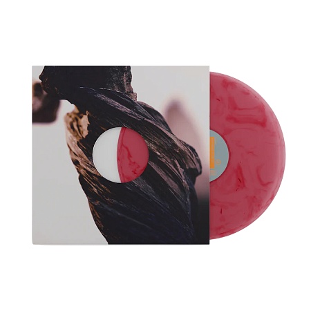 The Night The Zombies Came