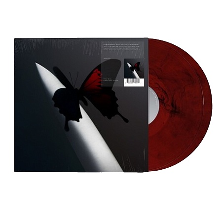 Twelve Carat Toothache