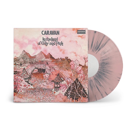 In The Land Of Grey And Pink