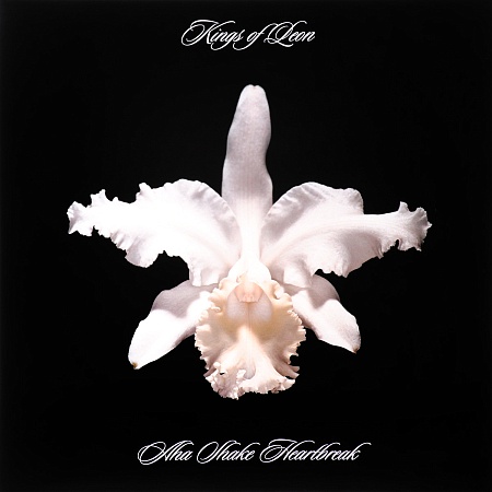 Aha Shake Heartbreak